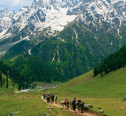 The Dreamland Kashmir